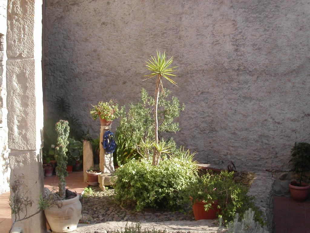 Locanda La Rosa Pauli Arbarei Bagian luar foto
